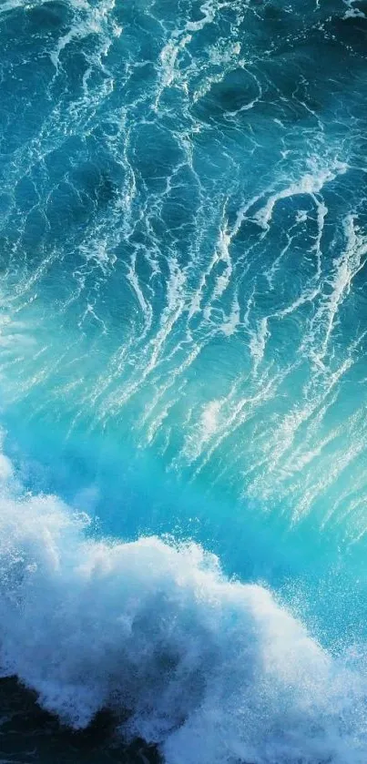 Turquoise ocean wave crashing in vibrant detail.