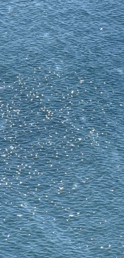 Blue ocean waves with sparkling water reflections wallpaper.