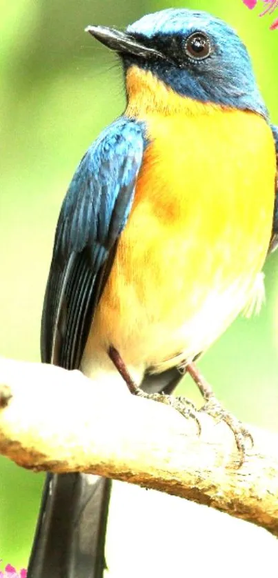 Blue and orange bird perched on a branch with floral accents.