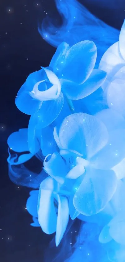 Enchanting blue orchids on a dark smoky background mobile wallpaper.