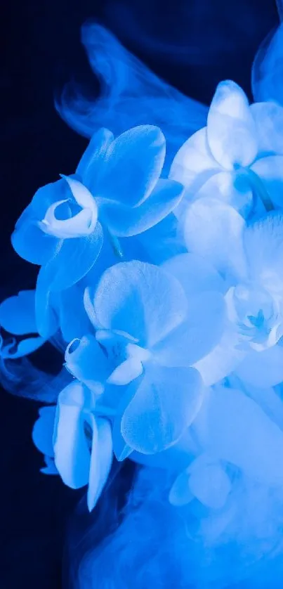 Blue orchids with smoke in a captivating mobile wallpaper.