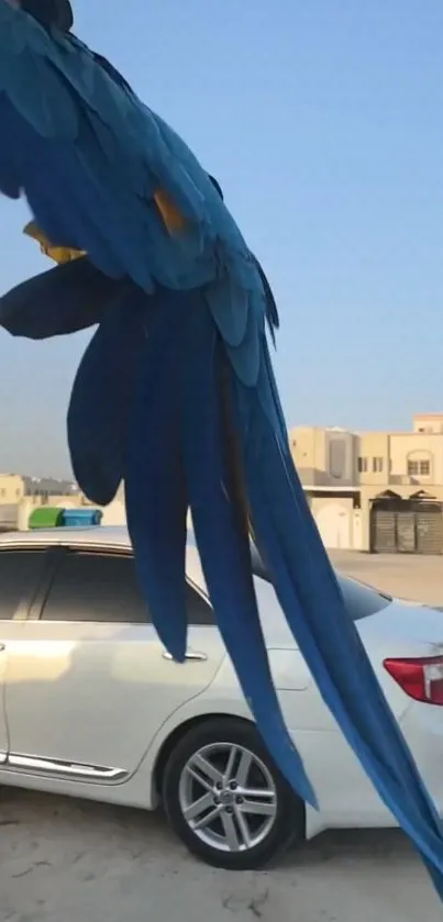 A blue parrot with its wings extended, set against an urban background with a car.