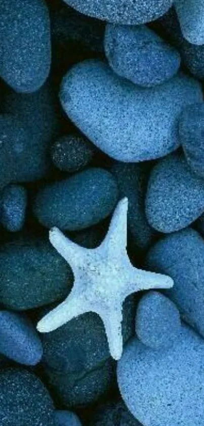 Blue pebbles with a white starfish on a phone wallpaper.