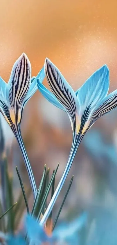 Delicate blue flowers mobile wallpaper with warm background.