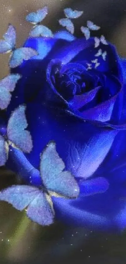 Blue rose with butterflies wallpaper for mobile.