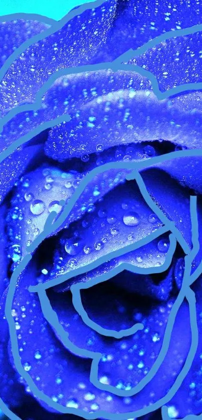 Blue rose with dew drops on petals, vibrant and detailed.