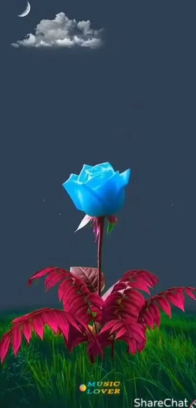 Blue rose with red leaves against a night sky with clouds.