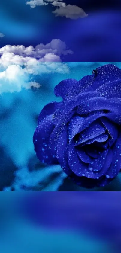 Vibrant blue rose with clouds in the sky.