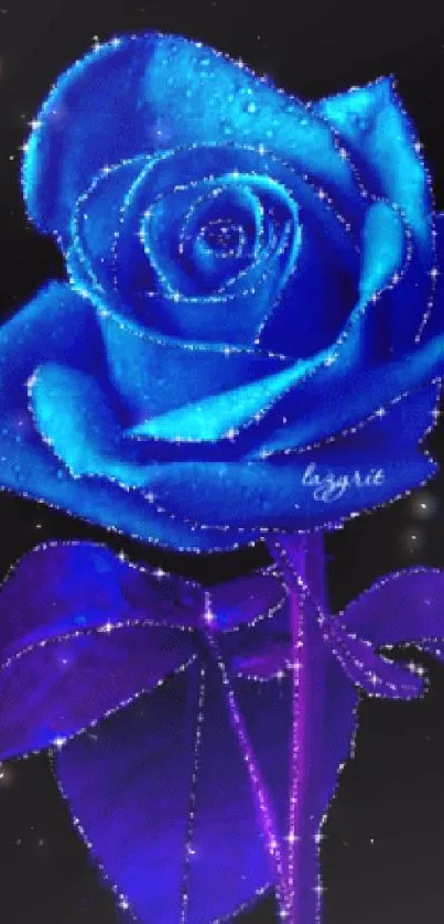 Blue rose with sparkling effect on a black background.