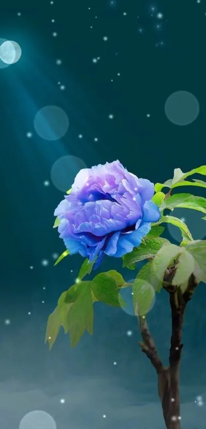 Mystical blue rose under a moonlit night sky.