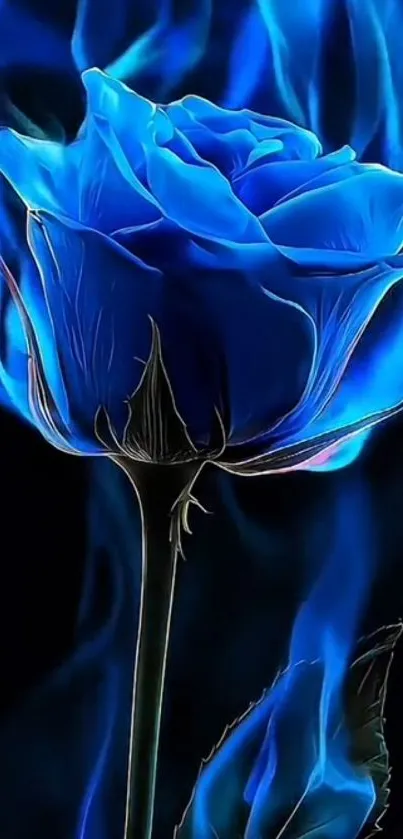 A vibrant blue rose with fiery blue glows, creating an elegant and mysterious wallpaper.