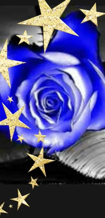 Blue rose with gold stars on dark background wallpaper.