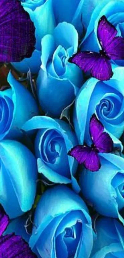 Blue roses and purple butterflies phone wallpaper.