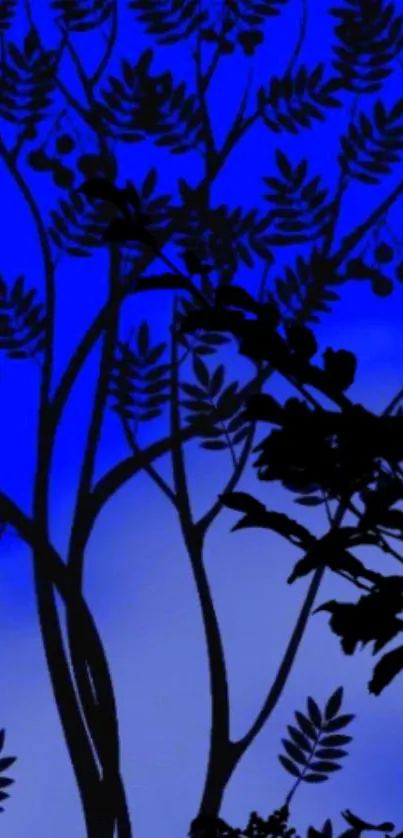 Silhouette of tree branches against a vibrant blue background.