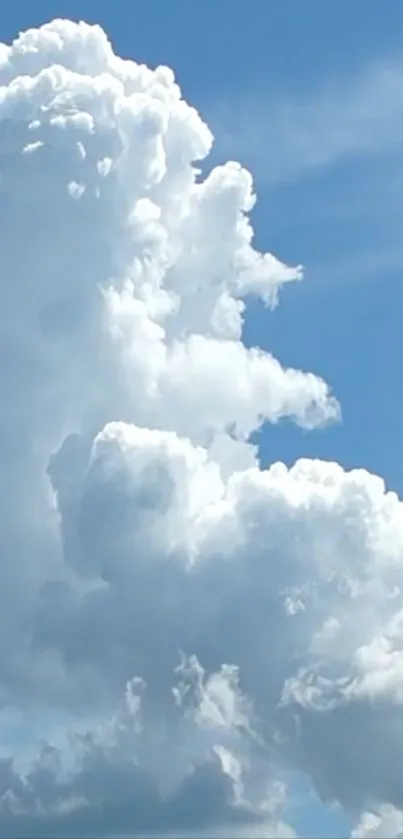 Fluffy white clouds in a blue sky