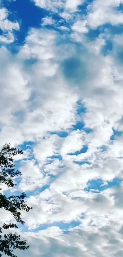 Mobile wallpaper of blue sky and fluffy white clouds.