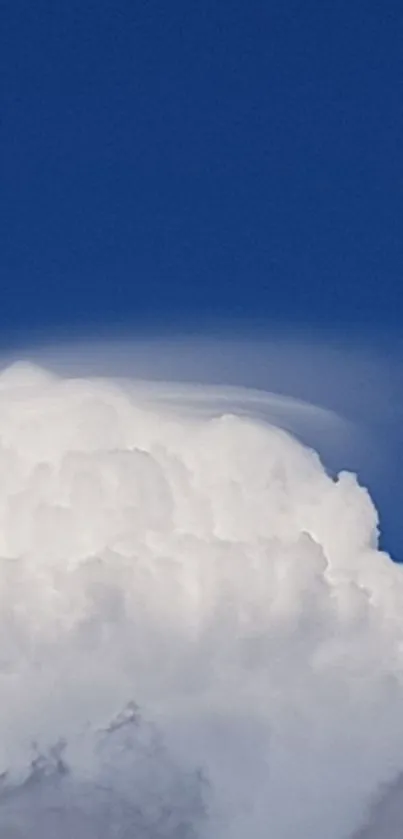 Mobile wallpaper of blue sky with fluffy white clouds.