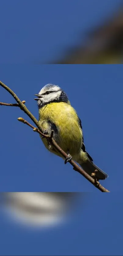 Bird perching on a branch against a blue sky with vibrant colors.