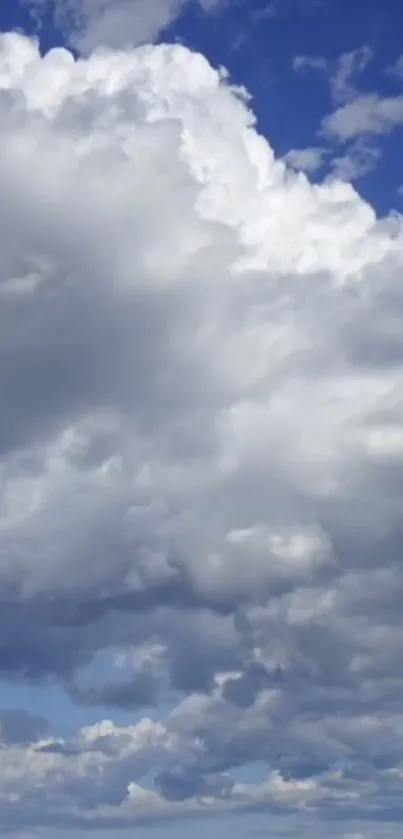 Blue sky with fluffy white clouds.