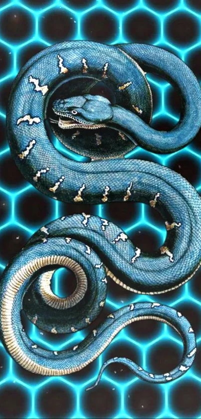 Blue snake on glowing hexagon pattern, perfect for mobile wallpaper.