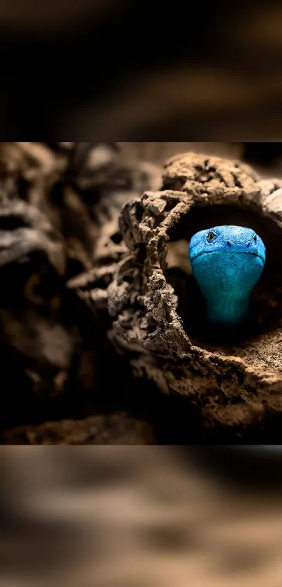 Blue snake curled in a tree trunk with a natural backdrop.