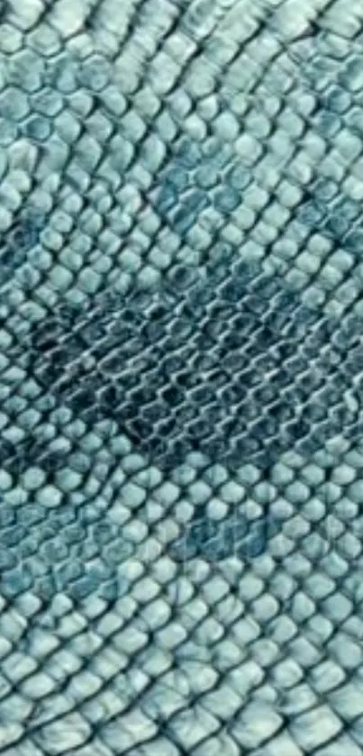 Close-up of a blue snake skin texture wallpaper.