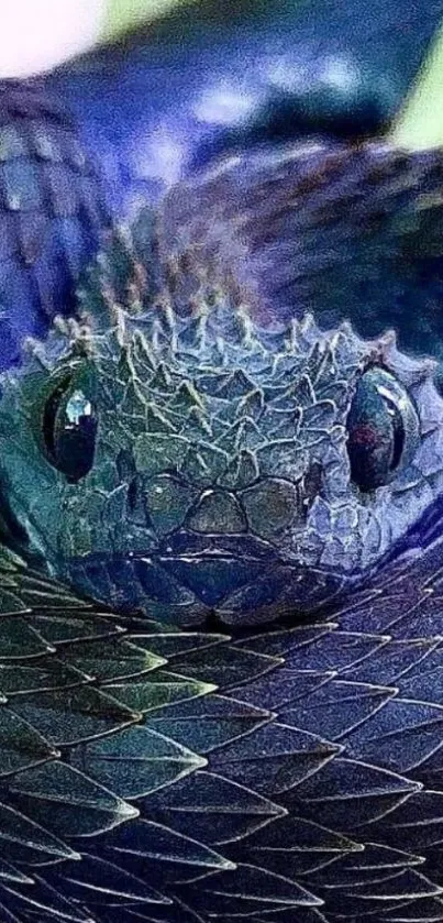 Close-up of a blue snake with detailed scales.