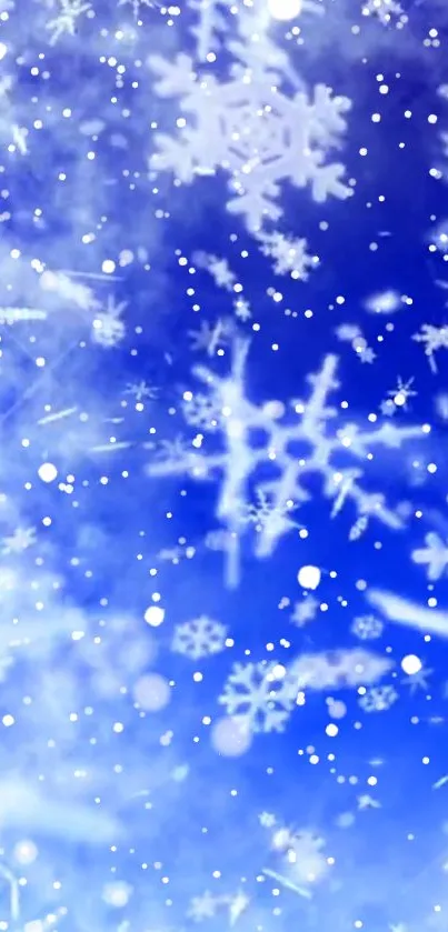 Blue snowflake wallpaper with frosty designs.