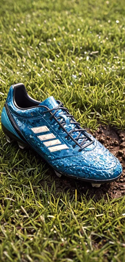 Blue soccer boot on green grass in daylight.