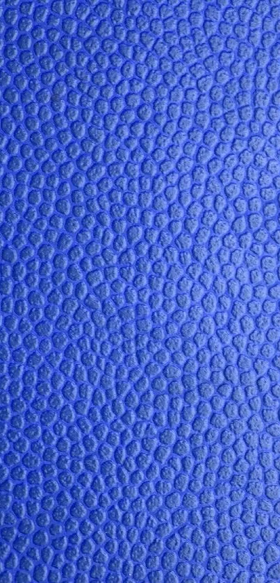 Blue textured wallpaper with intricate details.