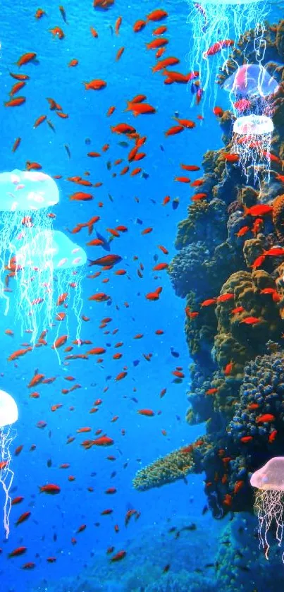 a beautiful sea Live Wallpaper