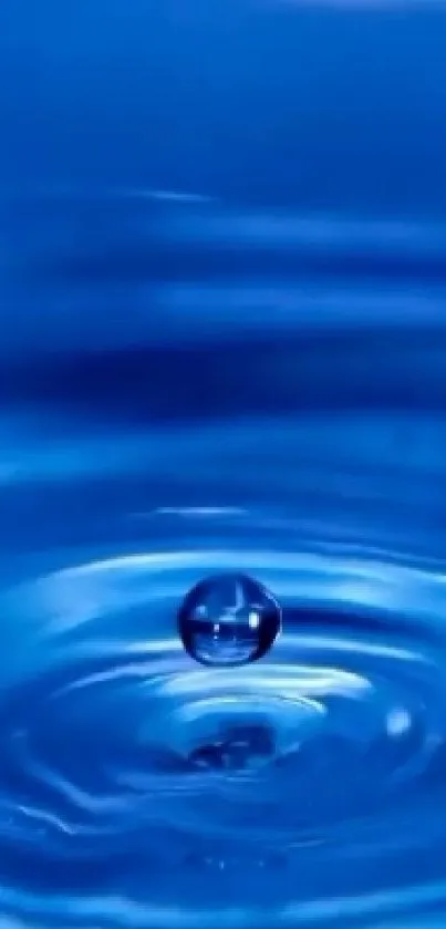 Serene blue water drop mobile wallpaper