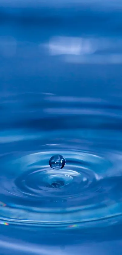 Blue water ripple with a single droplet creating serene patterns.