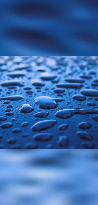 Blue water droplets on a surface create a serene abstract wallpaper.