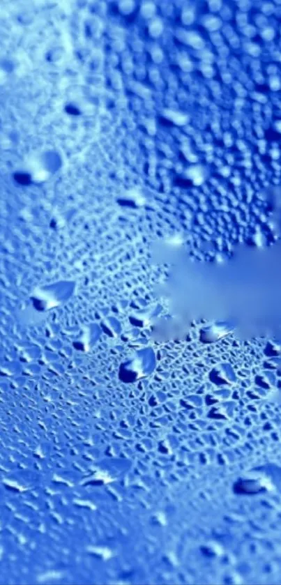 Close-up of blue water droplets pattern on a surface, creating a calming effect.