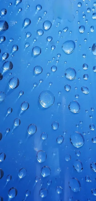 Bright blue wallpaper with water droplets.