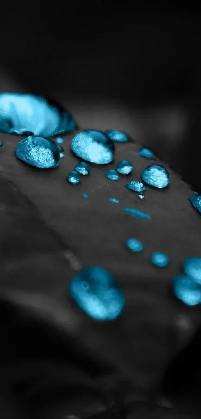 Blue water droplets on a leaf with dark background.