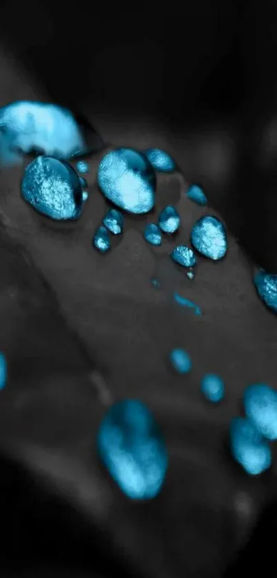 Blue water droplets on a dark leaf wallpaper.