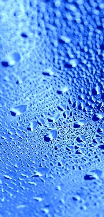 A bright blue textured surface with water droplets pattern.