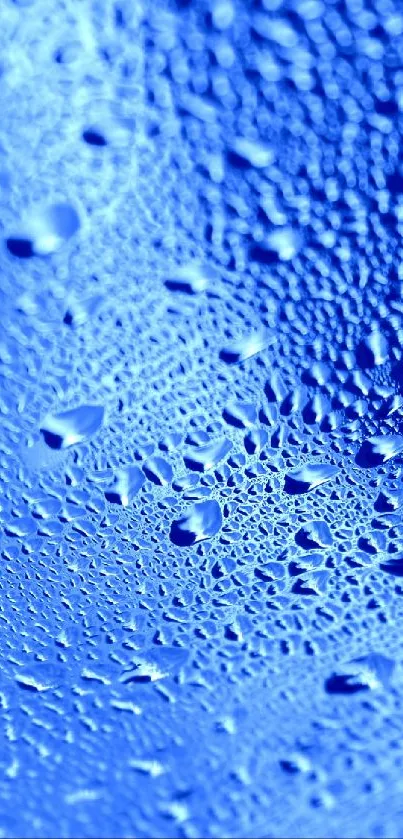 Blue water droplets on a textured surface highlighted with soft lighting.