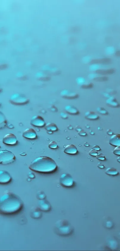 Close-up of blue water droplets on a smooth surface.