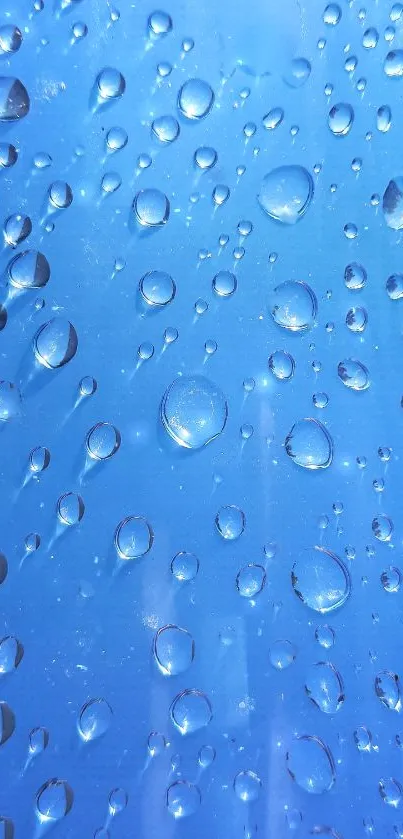 Close-up of blue water droplets on a surface.