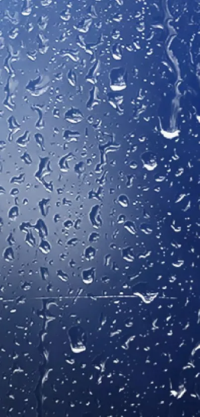 Blue water droplets on window wallpaper.