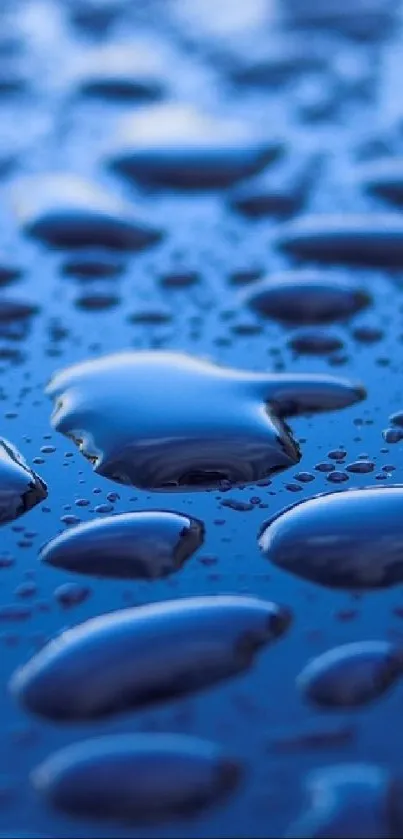 Close-up of water droplets on a blue surface.