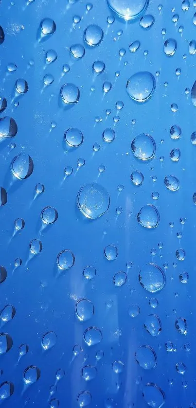 Blue water droplets on a smooth surface.