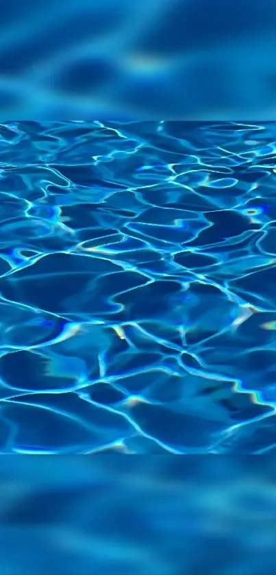 Calm blue water surface with light ripples.