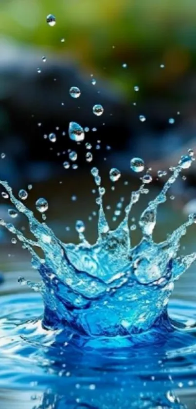 Blue water droplets captured in mid-air splash.