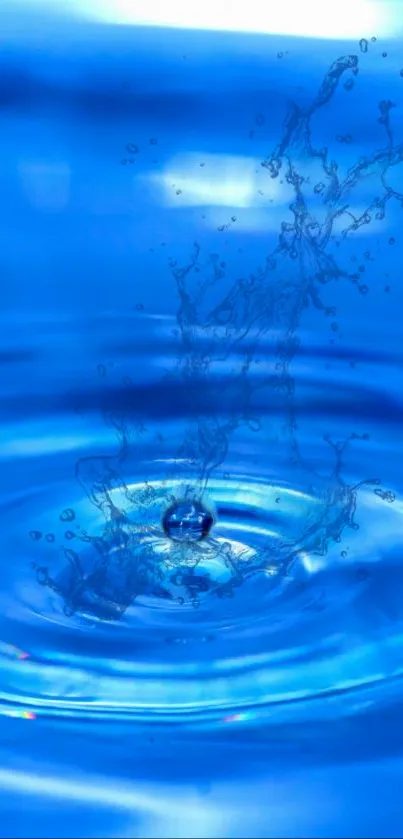 Blue water splash creating dynamic ripples.