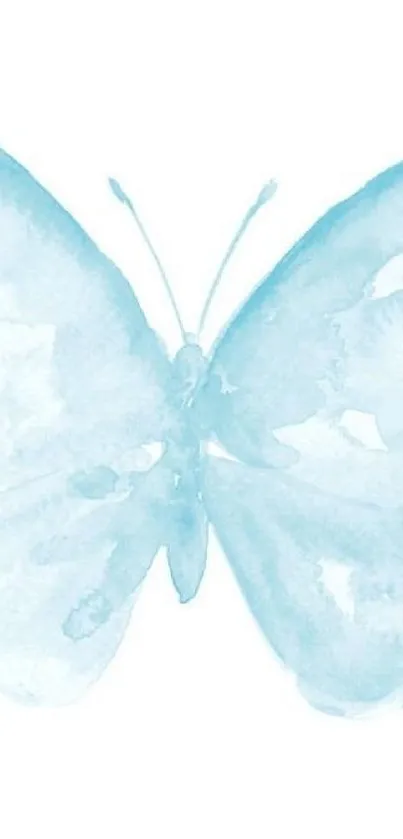 Light blue watercolor butterfly on white background.