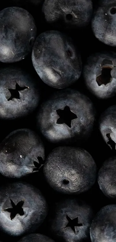 Close-up of fresh blueberries creating a textured mobile wallpaper.